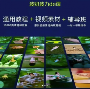 视频制作视频通用教程+视频素材+辅导班-暗冰资源网