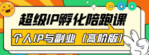 超级IP孵化课程：教你打造个人IP做好副业（高阶版）41节课-暗冰资源网