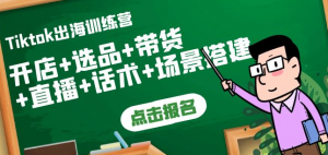 Tiktok开店运营赚钱课：开店+选品+带货+直播+话术+场景搭建！-暗冰资源网