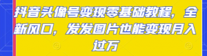 抖音头像号变现项目零基础教程：发发图片也能月入过万-暗冰资源网