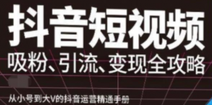 抖音视频号高级实操课程：从小号到大V的抖音运营精通手册（吸粉、引流、变现全攻略）-暗冰资源网