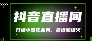 抖音直播间开通小雪花业务（外面收费288）最近超火-暗冰资源网