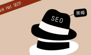 【黑帽seo揭秘】不建站不发帖做外推排名方法实操，持久seo霸屏，灰白通用！-暗冰资源网