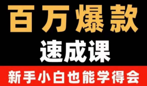 自媒体爆款指南：用数据思维做爆款，小白也能从0-1打造百万播放视频-暗冰资源网