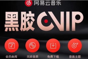 网易云音乐撸黑胶年卡及变现方法【收益可无限放大】-暗冰资源网