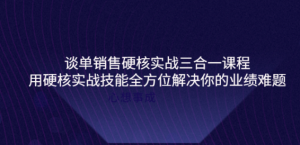 谈单销售硬核实战课程：用硬核实战技能教您销售如何和客户谈单子-暗冰资源网