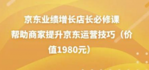 京东业绩增长店长必修课：帮助商家提升京东运营技巧-暗冰资源网
