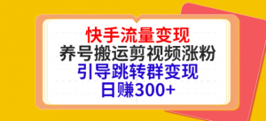 快手流量变现绝密教程，引导跳转群变现日赚300+-暗冰资源网