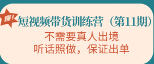 短视频带货训练课程：不需要真人出境，听话照做，保证出单-暗冰资源网