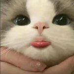 恰饭319的头像-暗冰资源网